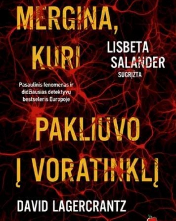 Mergina, kuri pakliuvo į voratinklį. IV Stieg Larsson Millennium serijos knyga.