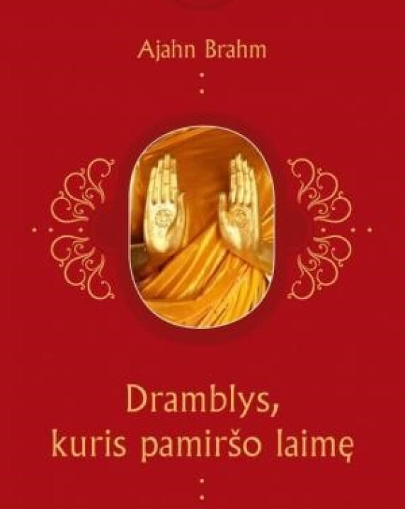Dramblys, kuris pamiršo laimę: įkvepiančios istorijos apie tai, kaip mėgautis kiekviena akimirka