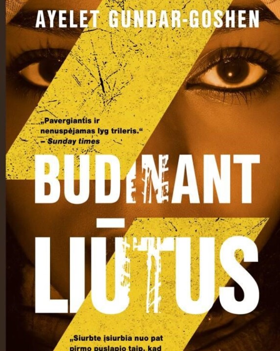 Budinant liūtus