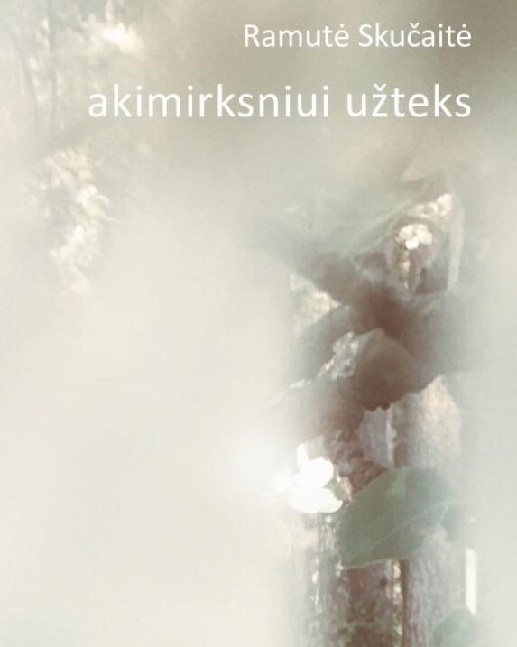 Akimirksniui užteks