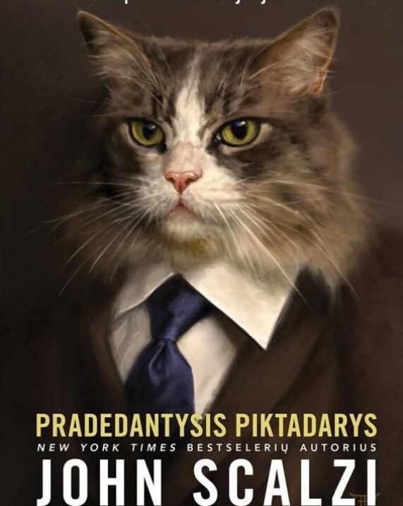 Pradedantysis piktadarys